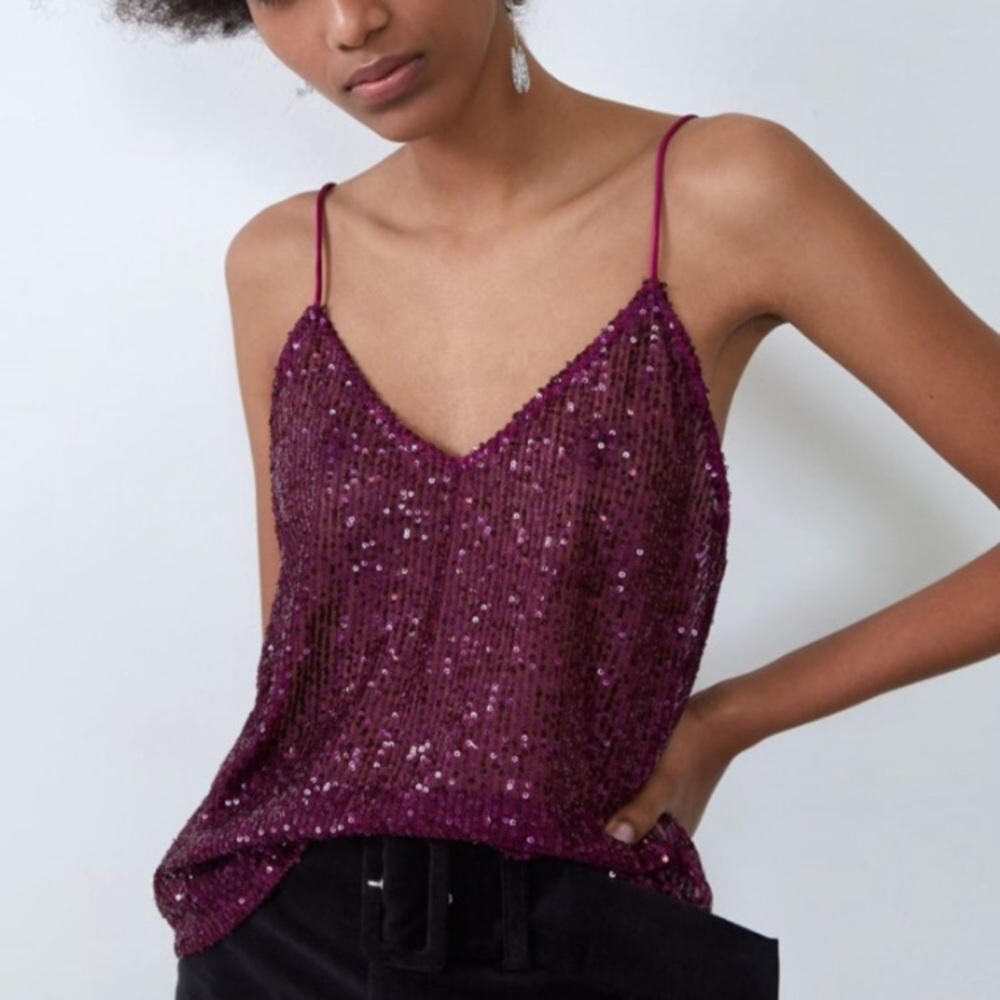 Zara Sequin Top